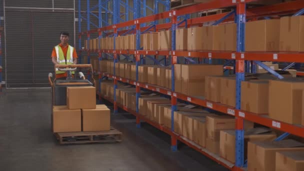 Young Asian Man Driving Vehicle Move Cargo Transportation Distribution Warehouse — Wideo stockowe