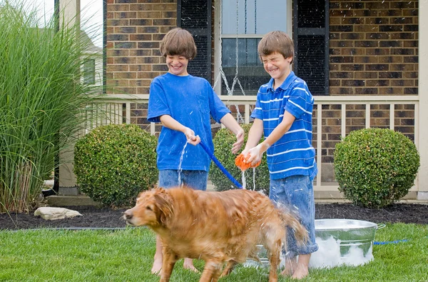 Chicos dando perro un baño —  Fotos de Stock