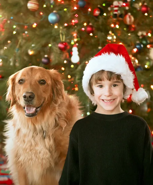 Jongen en hond met Kerstmis — Stockfoto