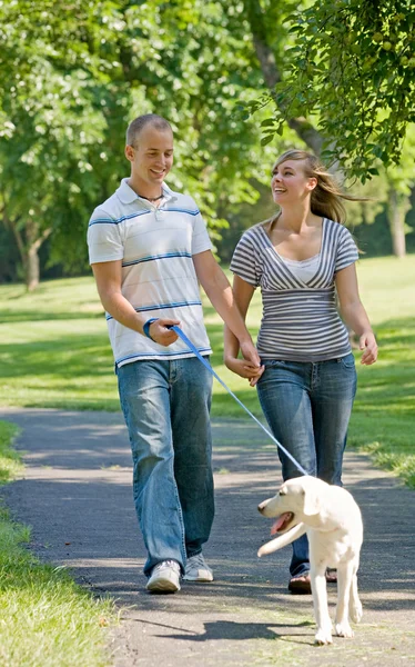 Junges Paar geht Hund spazieren — Stockfoto