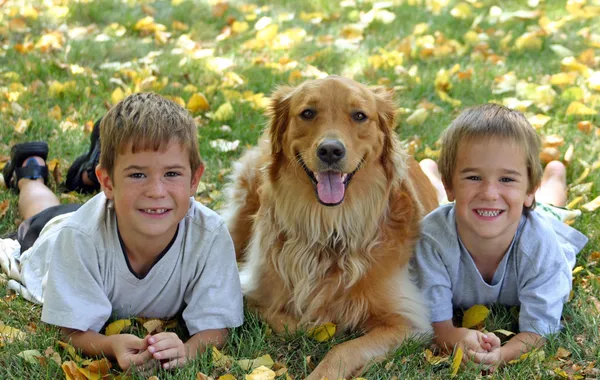 Niños acostados en la hierba con el perro — Foto de Stock