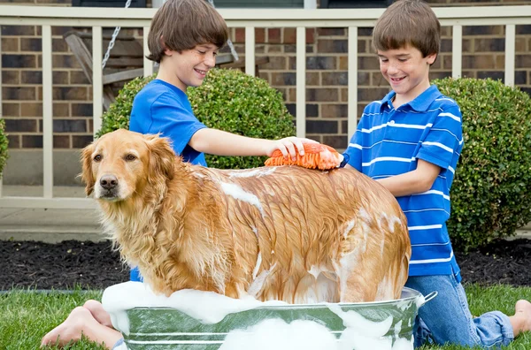 Chłopcy dawanie psu kąpiel — Zdjęcie stockowe