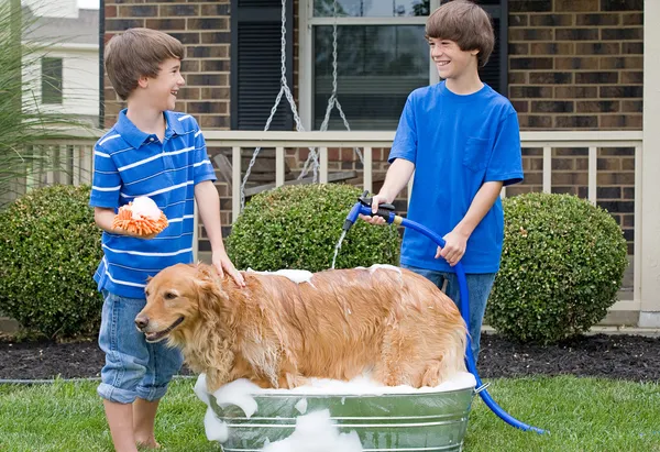 Jungen geben Hund ein Bad — Stockfoto