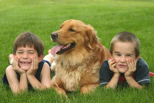 Хлопчики з собакою — стокове фото