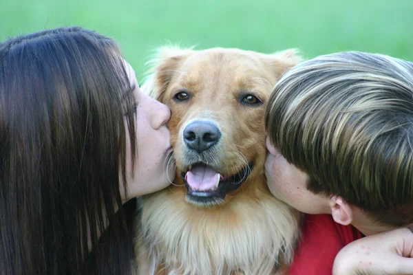 Kids Kissing Dog — Stock Photo, Image