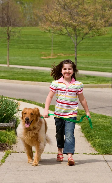 Genç kız yürüyen köpek — Stok fotoğraf