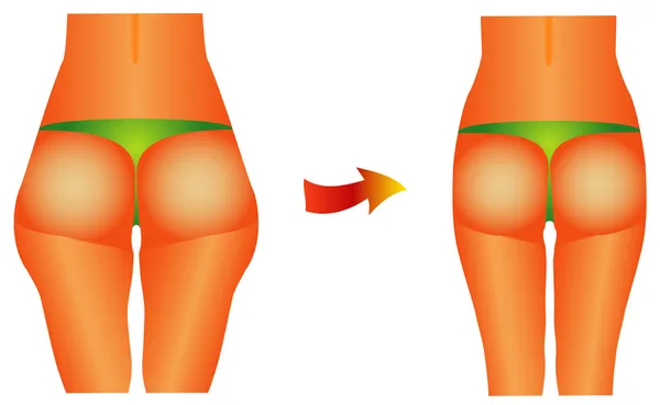 Weibliches Gesäß — Stockvektor