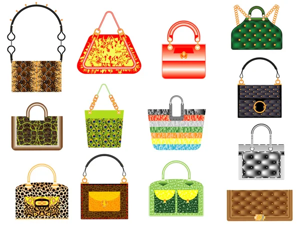 Bolsos de cuero — Vector de stock