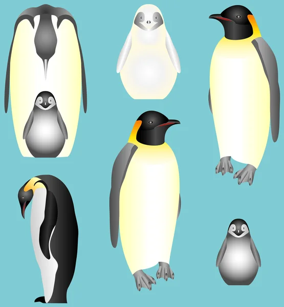 Empereur pingouins Vecteurs De Stock Libres De Droits