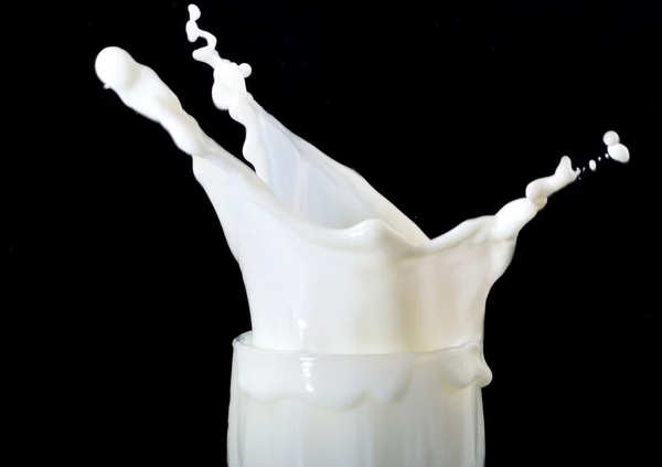 Salpicaduras de leche Fotos de stock