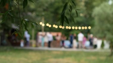  İnsanlar yaz akşamları dans eder. Yaprakları olan bir dala odaklan. Odaklanamıyorum. Yavaş çekim.