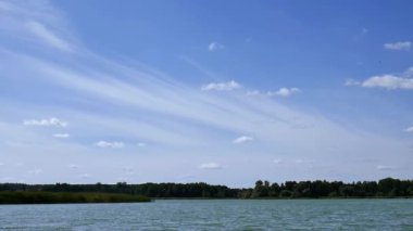 Güzel bir yaz gününde, dalgalar büyük göl boyunca ilerler, rüzgar çimenleri sallar ve martılar bulutlu güzel mavi bir gökyüzünün arka planına doğru uçar..