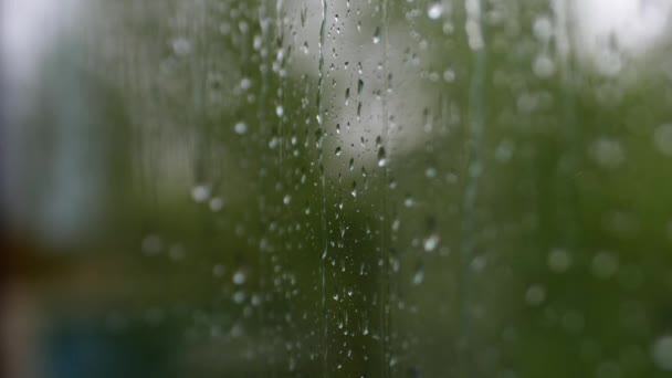 Close Gotas Chuva Que Fluem Pelo Vidro Contra Fundo Árvores — Vídeo de Stock