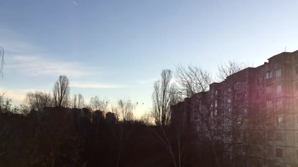 Uno Stormo Uccelli Volteggia Sopra Parco Condomini Durante Bellissimo Tramonto — Video Stock