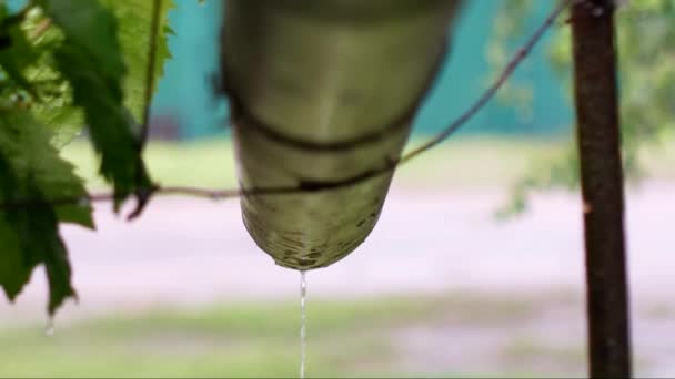 暖夏雨时雨水顺着排水管流下 — 图库视频影像