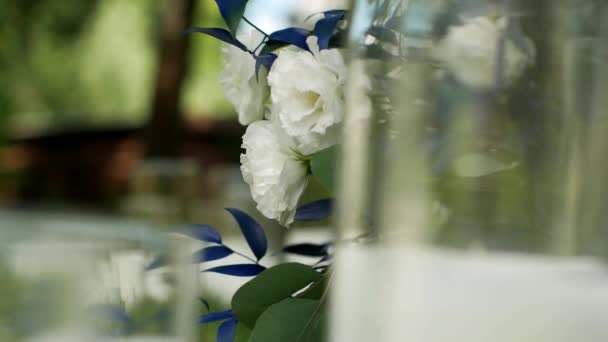 Close Schot Door Glas Witte Roos Bloemen Tussen Groene Blauwe — Stockvideo