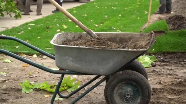 Cart Soil Shovel Stands Green Lawn Isolated Wheelbarrow Sand Stands — Stock Video