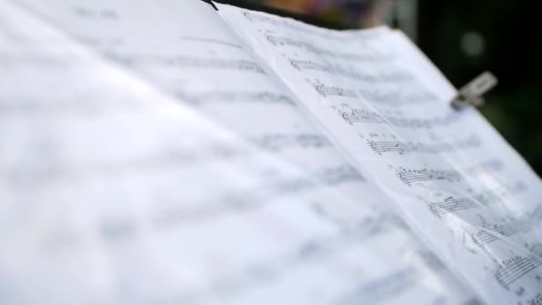 Close Notas Música Colocadas Estande Música Durante Uma Festa — Vídeo de Stock