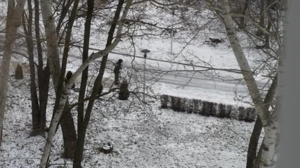 Hausmeister Beseitigt Schnee Der Stadt Schneesturm Schneeverwehungen — Stockvideo