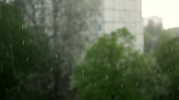 Краплі Сильного Дощу Падають Тлі Дерев Міських Будинків Падіння Дощових — стокове відео