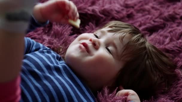紫のふわふわのベッドスプレッドの上に美しくかわいい女の子があり リンゴのスライスを食べ 甘い笑顔 — ストック動画