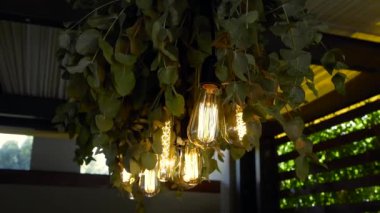 Taze yeşil yapraklar ve parlak ampullerle süslenmiş. Güzel renkli düğün dekoru.
