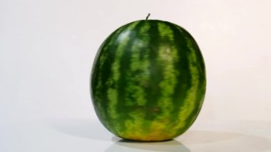 Karpuz beyaz arka planda beyaz bir ayakta döner. Olgun köy karpuzunun stüdyo çekimi.