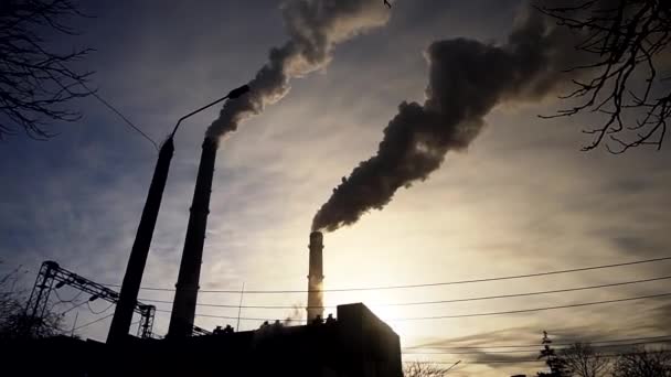 Grote Schoorstenen Van Een Industriële Fabriek Waaruit Rook Tevoorschijn Komt — Stockvideo