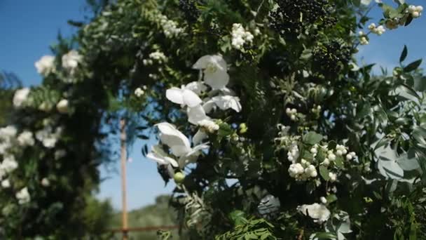 Hermosa Decoración Floral Rosas Blancas Pétalos Verdes Instalación Flores Colores — Vídeos de Stock