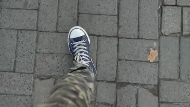 Close View Top Legs Man Walking Stone Path Man Sneakers — Stock Video