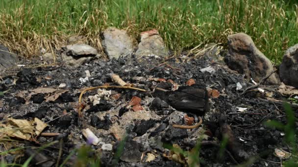 Video Shooting Close Traces Extinct Bonfire Ground Tourists Burnt Out — Stok video
