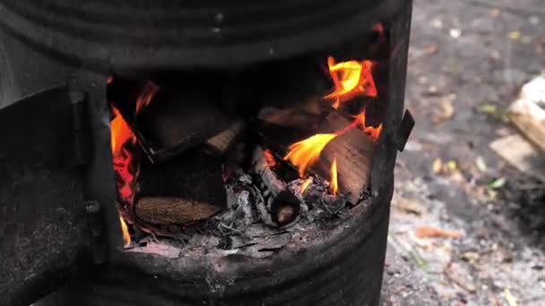 Wild Kampeerconcept Koken Een Vuur Natuur Tijdens Een Wandeling Brandhout — Stockvideo
