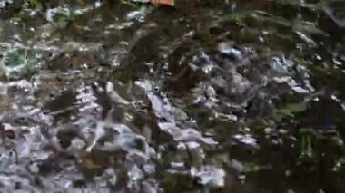 Yağmur sularının 4K 'lık yakın çekim görüntüsü yağmur sırasında su birikintisine akar. Şiddetli yağmur damlaları bir yaz veya bahar günü çatıdan su birikintisine düşer..