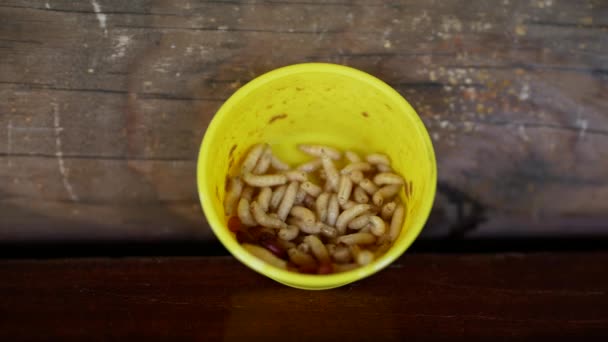 クローズアップビュー多くの生きている脂肪醜いフライマグカップの4Kマクロビデオは 釣りのために使用する準備ができて黄色の小さなプラスチック製の箱に隔離されたクロールなっています 肉ハエの幼虫 木製の背景に磁石 — ストック動画