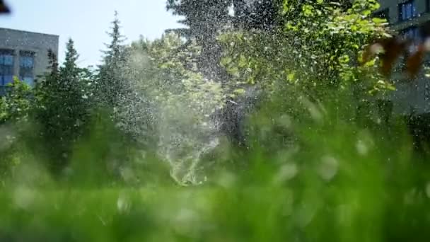 Irrigazione Dell Erba Sprinkler Testa Irrigazione Prato Erba Verde Concetto — Video Stock