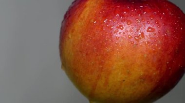 Kırmızı bir elmanın üzerine su sıçratma görüntüsü. Büyük damlacıklı kırmızı ıslak elma, makro shot. Olgun kırmızı elma ve su damlaları. Yakın plan çekim. Elmanın üzerindeki damlalar güzelce yuvarlanıyor..