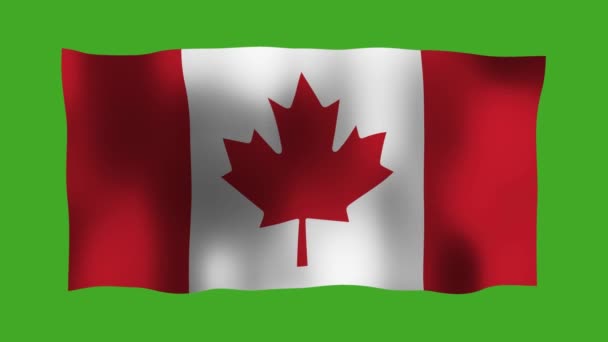 Σημαία Καναδά Κυματίζει Στον Άνεμο Μια Πράσινη Οθόνη Για Chroma — Αρχείο Βίντεο
