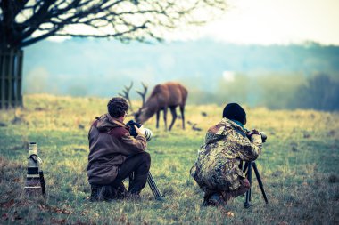 Photographers taking photo of deer clipart