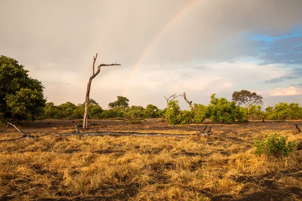 Landscape of Botswana with rainbow, South Africa — Stock Photo, Image