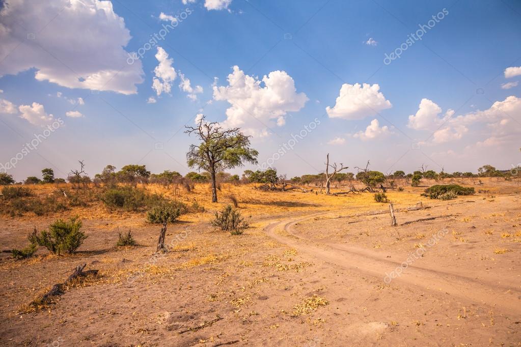 Südafrika Botswana Südafrika Botswana