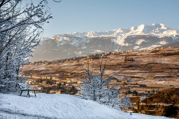 スイス連邦共和国の丘の上の視点からのベンチ — ストック写真