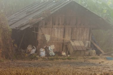 Ahırda sapa, vietnam