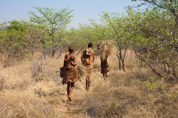 Famille des Bushmen du Botswana — Photo