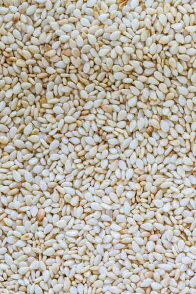 White sesame seeds. — Stock Photo, Image