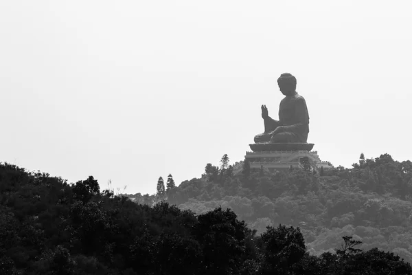 Giant Buddha. — Stock Photo, Image