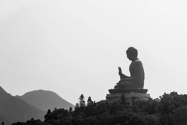 Giant Buddha. — Stock Photo, Image