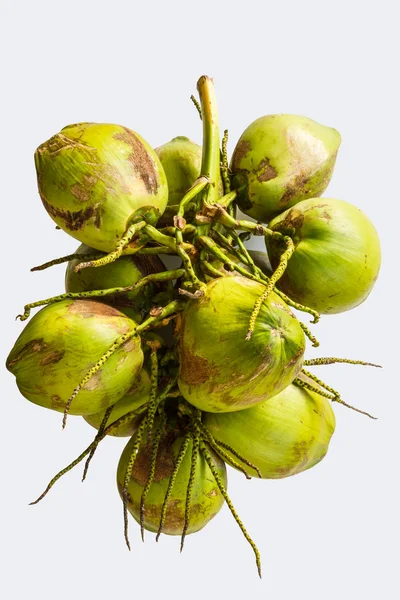 Bunch coconut — Stock Photo, Image