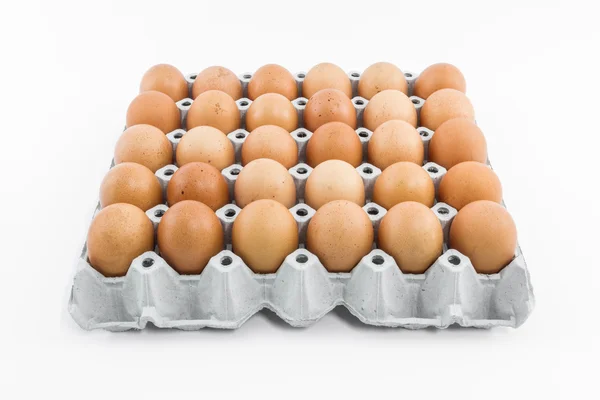 Ovos embalados . — Fotografia de Stock