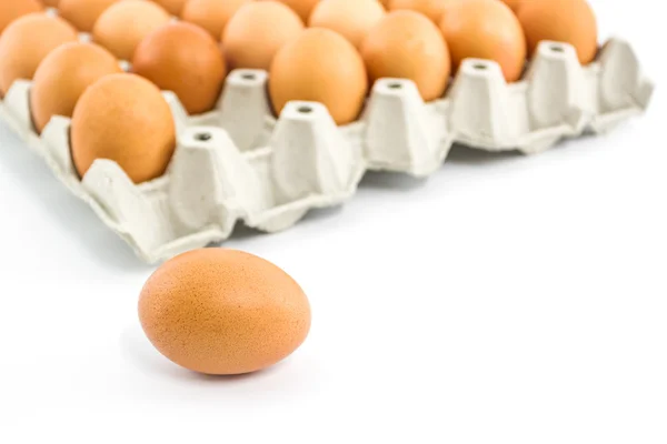 Eggs in package. — Stock Photo, Image