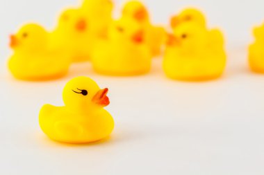 Sarı plastik ördek.